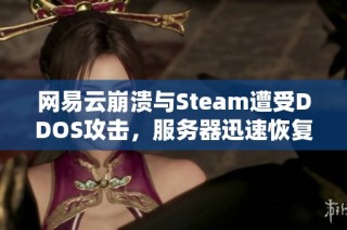 网易云崩溃与Steam遭受DDOS攻击，服务器迅速恢复的背后原因解析