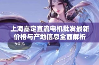 上海嘉定直流电机批发最新价格与产地信息全面解析