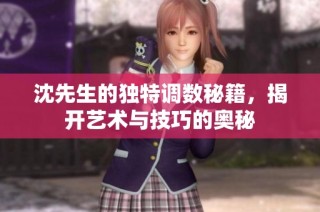 沈先生的独特调数秘籍，揭开艺术与技巧的奥秘