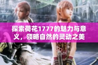 探索荷花1777的魅力与意义，领略自然的灵动之美
