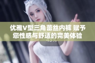 优雅V型三角蕾丝内裤 赋予您性感与舒适的完美体验