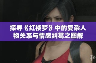 探寻《红楼梦》中的复杂人物关系与情感纠葛之图解