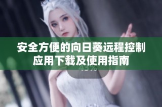 安全方便的向日葵远程控制应用下载及使用指南