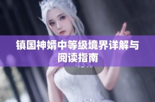 镇国神婿中等级境界详解与阅读指南
