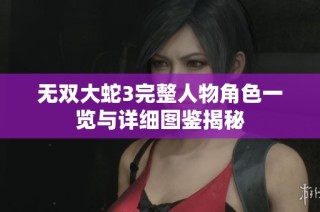 无双大蛇3完整人物角色一览与详细图鉴揭秘