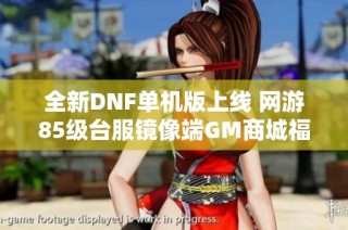 全新DNF单机版上线 网游85级台服镜像端GM商城福利来袭