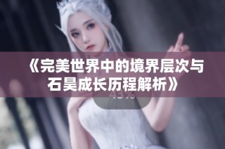 《完美世界中的境界层次与石昊成长历程解析》