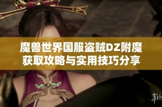 魔兽世界国服盗贼DZ附魔获取攻略与实用技巧分享