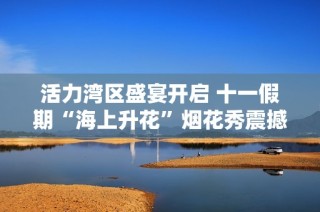 活力湾区盛宴开启 十一假期“海上升花”烟花秀震撼来袭