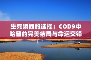 生死瞬间的选择：COD9中哈普的完美结局与命运交锋