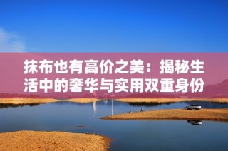 抹布也有高价之美：揭秘生活中的奢华与实用双重身份