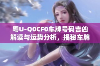 粤U-Q0CF0车牌号码吉凶解读与运势分析，揭秘车牌背后的命理玄机
