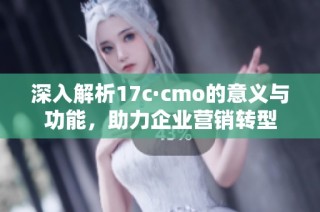 深入解析17c·cmo的意义与功能，助力企业营销转型