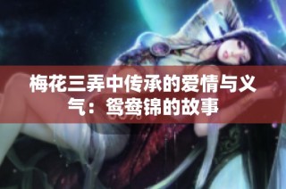 梅花三弄中传承的爱情与义气：鸳鸯锦的故事