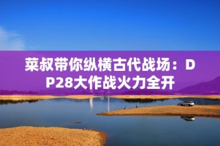 菜叔带你纵横古代战场：DP28大作战火力全开