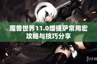 魔兽世界11.0增强萨常用宏攻略与技巧分享