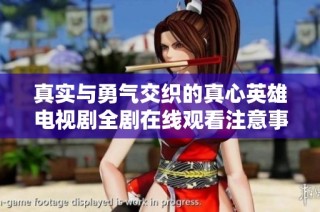 真实与勇气交织的真心英雄电视剧全剧在线观看注意事项