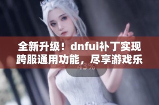 全新升级！dnfui补丁实现跨服通用功能，尽享游戏乐趣