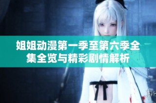 姐姐动漫第一季至第六季全集全览与精彩剧情解析