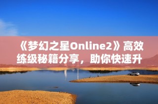 《梦幻之星Online2》高效练级秘籍分享，助你快速升级！