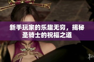 新手玩家的乐趣无穷，揭秘圣骑士的祝福之道