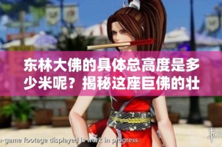 东林大佛的具体总高度是多少米呢？揭秘这座巨佛的壮丽尺寸