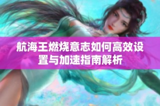 航海王燃烧意志如何高效设置与加速指南解析