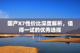 国产X7性价比深度解析，值得一试的优秀选择