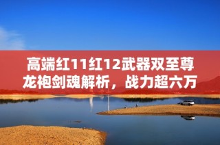 高端红11红12武器双至尊龙袍剑魂解析，战力超六万带你飞