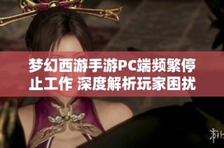 梦幻西游手游PC端频繁停止工作 深度解析玩家困扰及网易应对措施