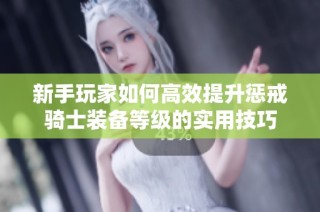新手玩家如何高效提升惩戒骑士装备等级的实用技巧