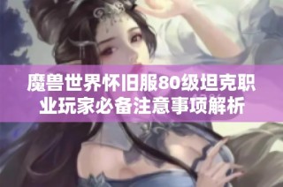 魔兽世界怀旧服80级坦克职业玩家必备注意事项解析