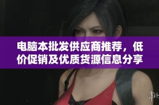 电脑本批发供应商推荐，低价促销及优质货源信息分享