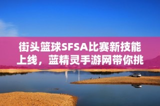 街头篮球SFSA比赛新技能上线，蓝精灵手游网带你挑战极限