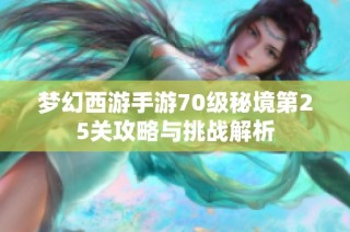 梦幻西游手游70级秘境第25关攻略与挑战解析