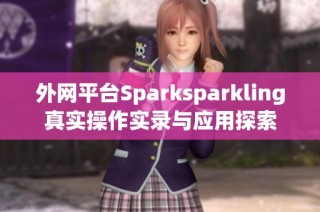 外网平台Sparksparkling真实操作实录与应用探索