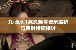 九·幺9.1高风险黄警示解析与应对措施探讨