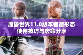 魔兽世界11.0版本猫德形态使用技巧与宏命分享