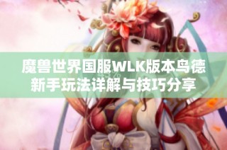 魔兽世界国服WLK版本鸟德新手玩法详解与技巧分享