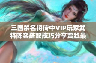 三国杀名将传中VIP玩家武将阵容搭配技巧分享贾趁最强攻略