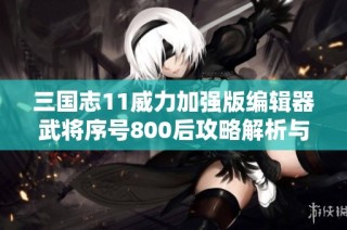 三国志11威力加强版编辑器武将序号800后攻略解析与心得分享