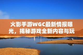 火影手游WGC最新情报曝光，揭秘游戏全新内容与玩法