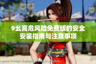 9幺高危风险免费版的安全安装指南与注意事项