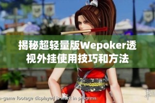 揭秘超轻量版Wepoker透视外挂使用技巧和方法