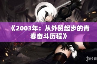 《2003年：从外贸起步的青春奋斗历程》