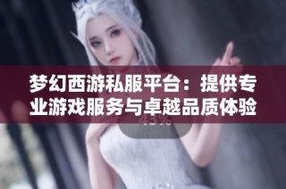 梦幻西游私服平台：提供专业游戏服务与卓越品质体验
