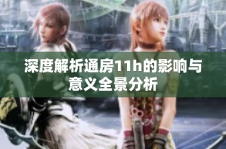 深度解析通房11h的影响与意义全景分析