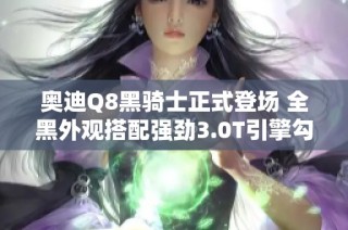 奥迪Q8黑骑士正式登场 全黑外观搭配强劲3.0T引擎勾勒黑暗中的梦幻之旅