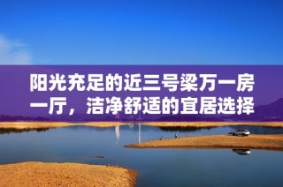 阳光充足的近三号梁万一房一厅，洁净舒适的宜居选择