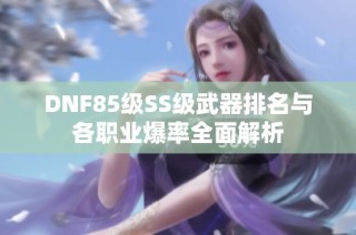 DNF85级SS级武器排名与各职业爆率全面解析